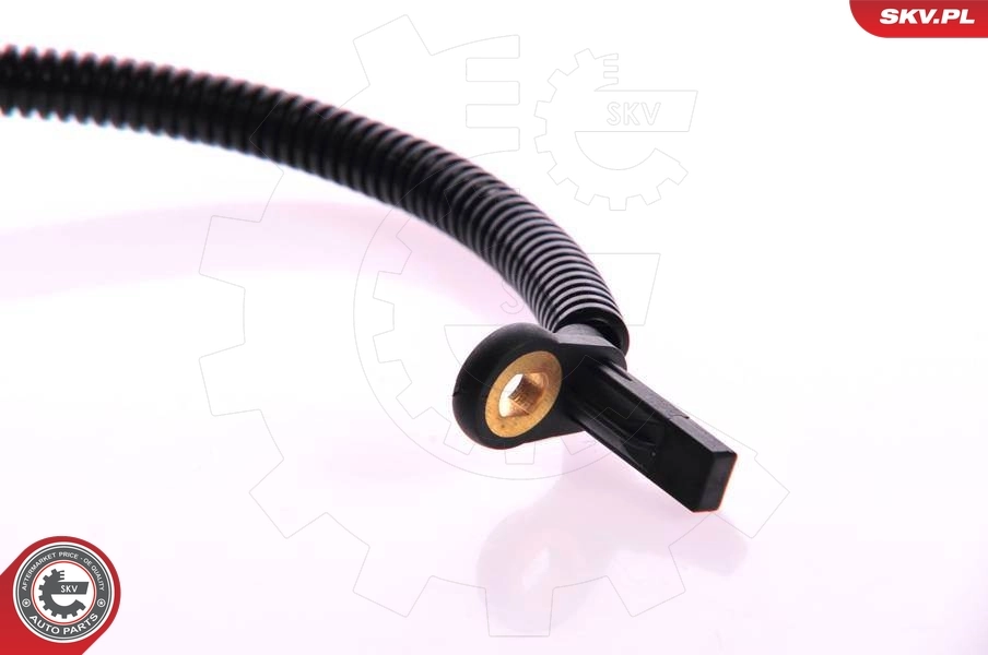Sensor, wheel speed